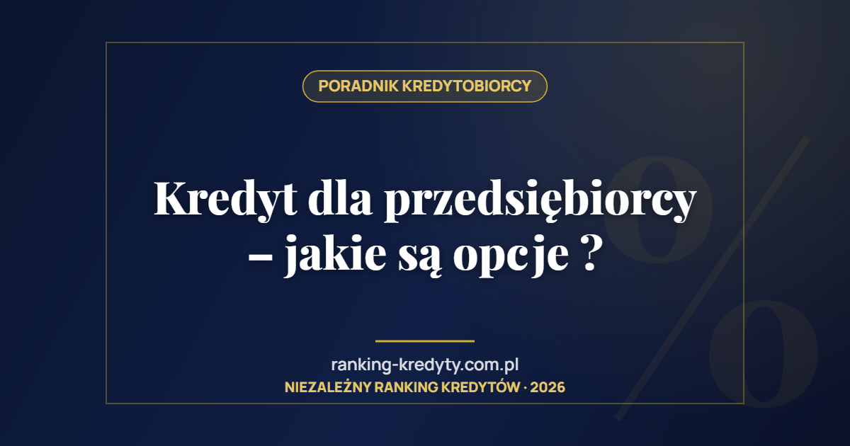 Kredyt dla przedsiębiorcy – jakie są opcje ?