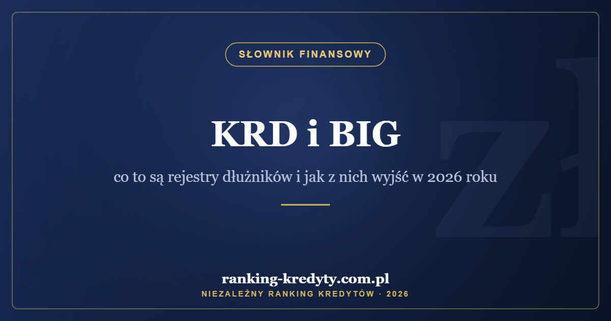 KRD i BIG – co to są rejestry dłużników i jak z nich wyjść w 2026 roku