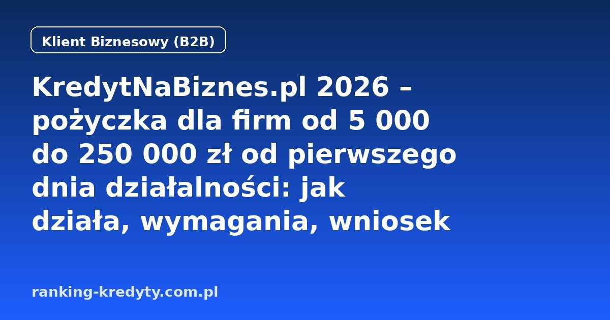 KredytNaBiznes.pl 2026 – pożyczka dla firm od 5 000 do 250 000 zł od pierwszego dnia działalności: jak działa, wymagania, wniosek online, dokumenty, plusy i minusy